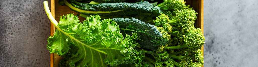 leafy greens 1920x500 1 1